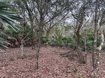 0 Old Grade Road, FL 33868 Polk City FL