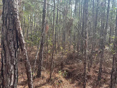 0 Old Grade Road, FL 33868 Polk City FL