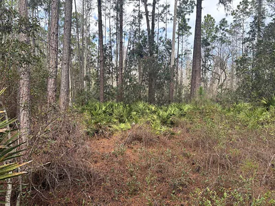 0 Old Grade Road, FL 33868 Polk City FL