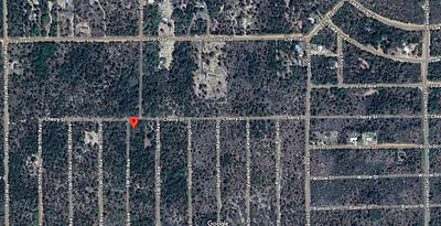 Interlachen FL