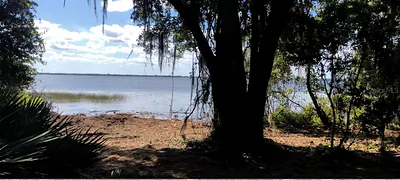 LAKE REEDY BOULEVARD N Frostproof FL