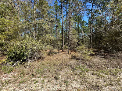 TBD SW 29TH STREET Ocala FL