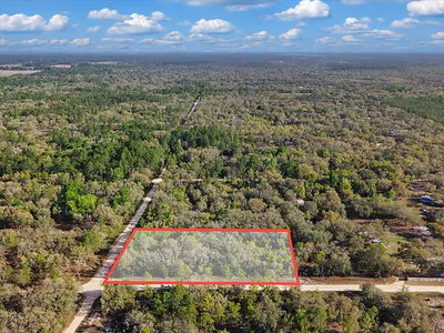 Lot 362 NE 82ND PLACE Bronson FL