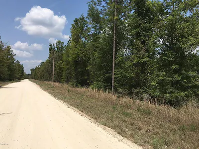7231 NE 136TH AVENUE Williston FL