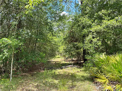 13070 NE 78TH PLACE Bronson FL