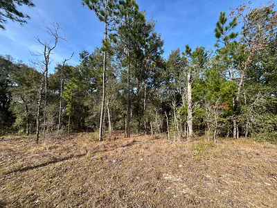 6168 Emory Avenue, Keystone Heights, FL 32656 Keystone Heights FL
