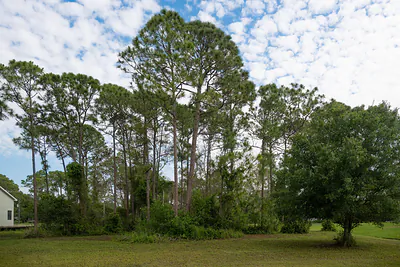 10638 Sugar Pine Drive, Fort Pierce, FL 34945 Fort Pierce FL
