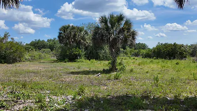 18980 NW 274th Street, Okeechobee, FL 34972 Okeechobee FL