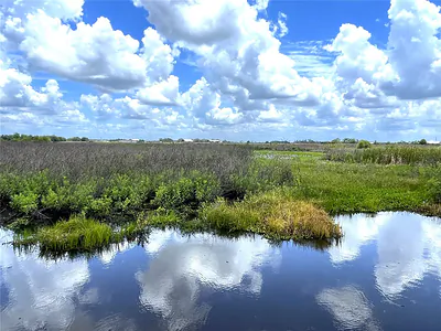 WAUCHULA ROAD Myakka City FL