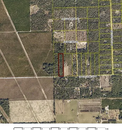 SW OLD SPANISH ROAD Fort White FL