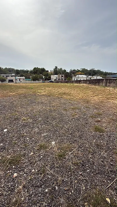 CARR 637 BO MIRAFLORES SECTOR BIAFARA Arecibo PR