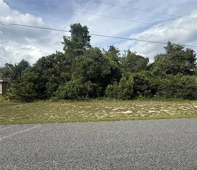 TBD SW 165TH STREET ROAD Ocala FL