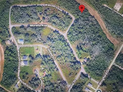 1991 WALCOTT LOOP Lehigh Acres FL
