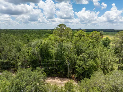 17198 SW STATE ROAD 47 Fort White FL
